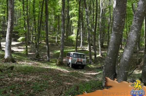 Спасатели привели в порядок два труднодоступных памятника ВОВ в Крымских горах (ФОТО) - «Культура Крыма»