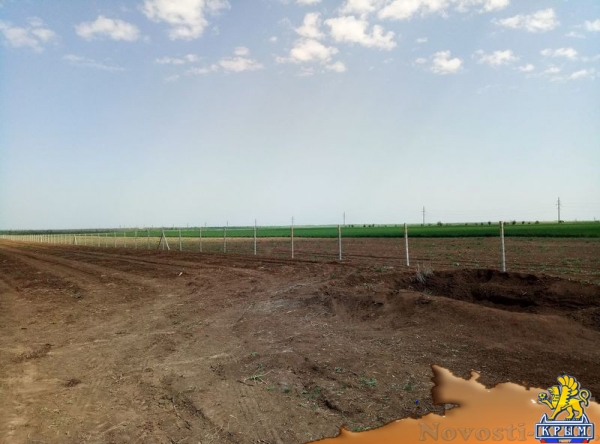 «Легенда Крыма» занялась посадкой 550-го гектара виноградников (ФОТО) - «Экономика Крыма»