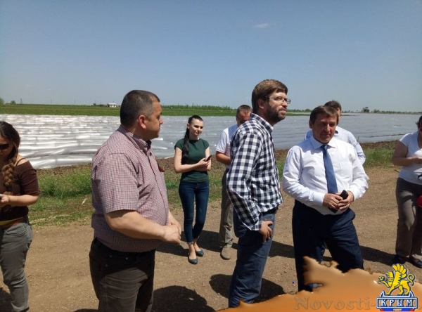 «Легенда Крыма» занялась посадкой 550-го гектара виноградников (ФОТО) - «Экономика Крыма»