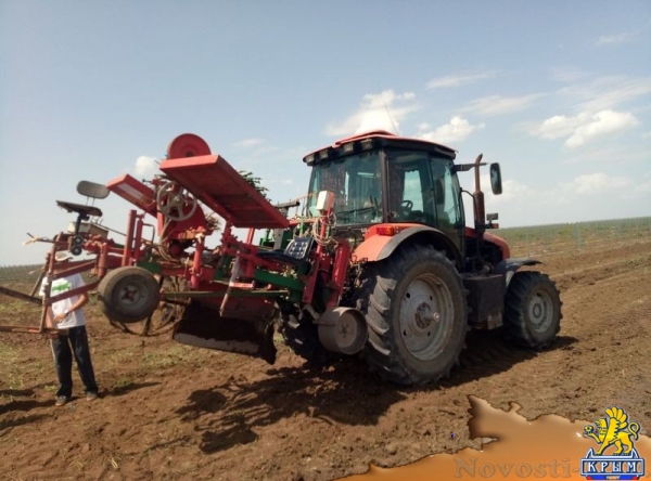 «Легенда Крыма» занялась посадкой 550-го гектара виноградников (ФОТО) - «Экономика Крыма»