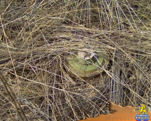 В МГБ ЛНР обнародовали фото и видеоматериалы украинских диверсантов (ФОТО. ВИДЕО) - «Политика Крыма»