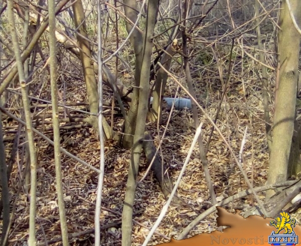 В МГБ ЛНР обнародовали фото и видеоматериалы украинских диверсантов (ФОТО. ВИДЕО) - «Политика Крыма»