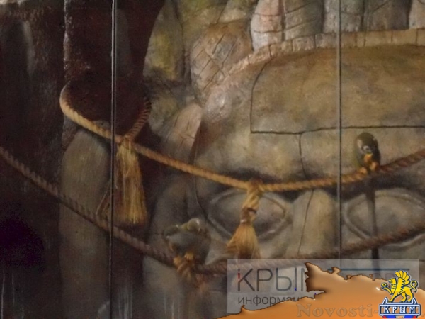 Беличьи саймири в парке «Мир джунглей» принесли потомство (ФОТО) - «Возвращение в Россию»