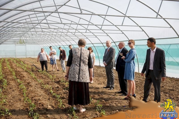 Новый тепличный комплекс открылся в агропромышленном колледже Крымского федерального университета (ФОТО) - «Общество Крыма»