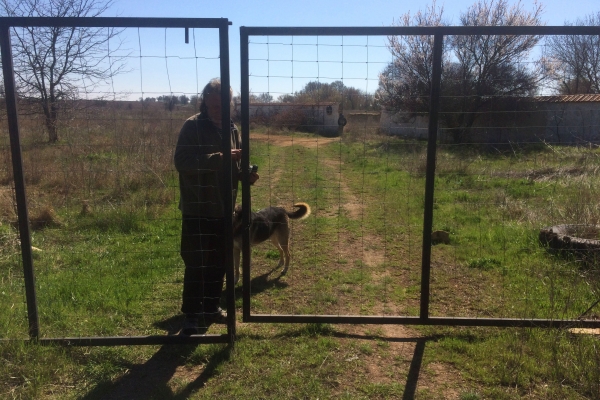Инспекторы Госкомрегистра оштрафовали нарушителей, самовольно захвативших земельный участок с прудом в Сакском районе - «Госкомрегистр»