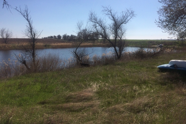 Инспекторы Госкомрегистра оштрафовали нарушителей, самовольно захвативших земельный участок с прудом в Сакском районе - «Госкомрегистр»