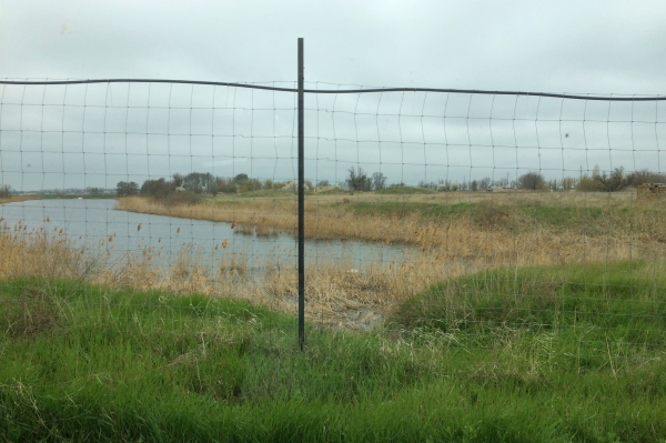 Инспекторы Госкомрегистра оштрафовали нарушителей, самовольно захвативших земельный участок с прудом в Сакском районе - «Госкомрегистр»