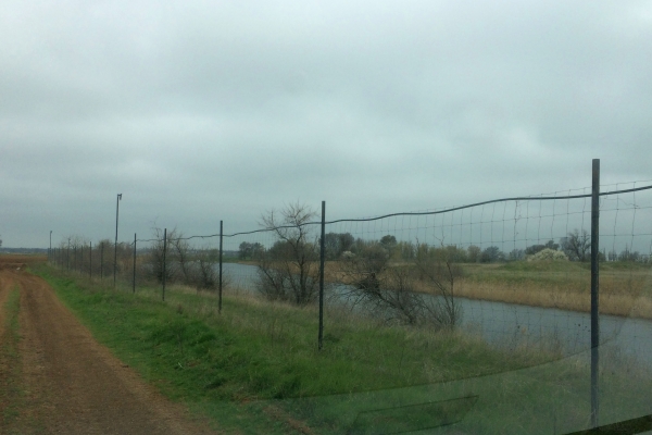 Инспекторы Госкомрегистра оштрафовали нарушителей, самовольно захвативших земельный участок с прудом в Сакском районе - «Госкомрегистр»