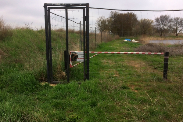 Инспекторы Госкомрегистра оштрафовали нарушителей, самовольно захвативших земельный участок с прудом в Сакском районе - «Госкомрегистр»