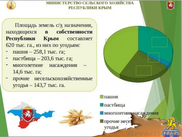 Почти треть крымских земель сельхозназначения республиканской собственности оказались свободными (ФОТО) - «Экономика Крыма» Почти треть крымских земель сельхозназначения республиканской собственности оказались свободными (ФОТО) - «Экономика Крыма»
