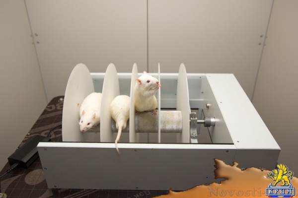 Центр коллективного пользования впервые открылся в Крымском федеральном университете (ФОТО) - «Общество Крыма» Центр коллективного пользования впервые открылся в Крымском федеральном университете (ФОТО) - «Общество Крыма»