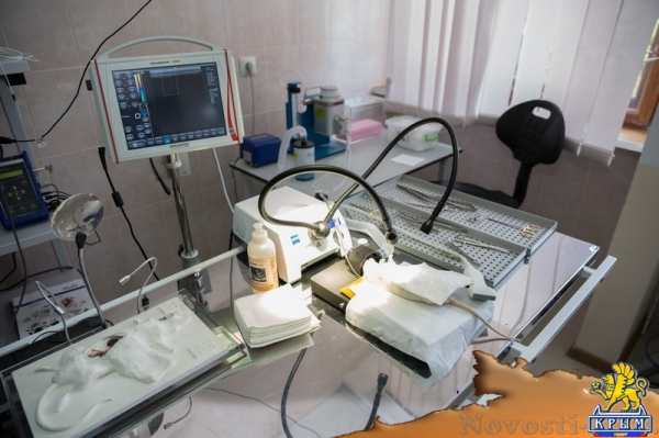 Центр коллективного пользования впервые открылся в Крымском федеральном университете (ФОТО) - «Общество Крыма» Центр коллективного пользования впервые открылся в Крымском федеральном университете (ФОТО) - «Общество Крыма»