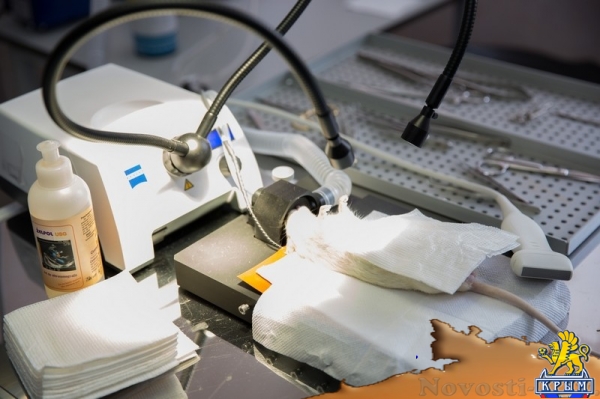 Центр коллективного пользования впервые открылся в Крымском федеральном университете (ФОТО) - «Общество Крыма» Центр коллективного пользования впервые открылся в Крымском федеральном университете (ФОТО) - «Общество Крыма»