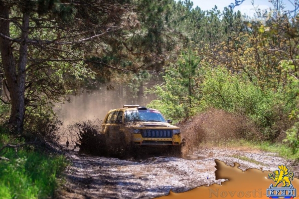 Скорость во всем: баха "Крым" определила самого быстрого интернет-провайдера Крыма - «Симферополь»