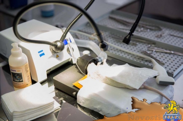 В КФУ создан первый Центр коллективного пользования - «Симферополь» В КФУ создан первый Центр коллективного пользования - «Симферополь»