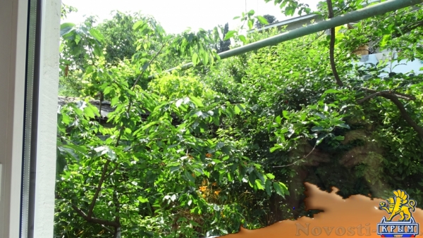 Отдых в Ялте. 2-комнатный дом (спальня и студия) с двориком ! Отдых в Крыму 2017 - жильё в Крыму без посредников - «Отдых в Ялте»