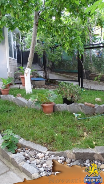 Отдых в Ялте. 2-комнатный дом (спальня и студия) с двориком ! Отдых в Крыму 2017 - жильё в Крыму без посредников - «Отдых в Ялте»