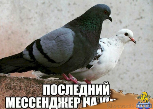Указ Порошенко о запрете российских соцсетей вступил в силу (ФОТО) - «Туризм Крыма» Указ Порошенко о запрете российских соцсетей вступил в силу (ФОТО) - «Туризм Крыма»
