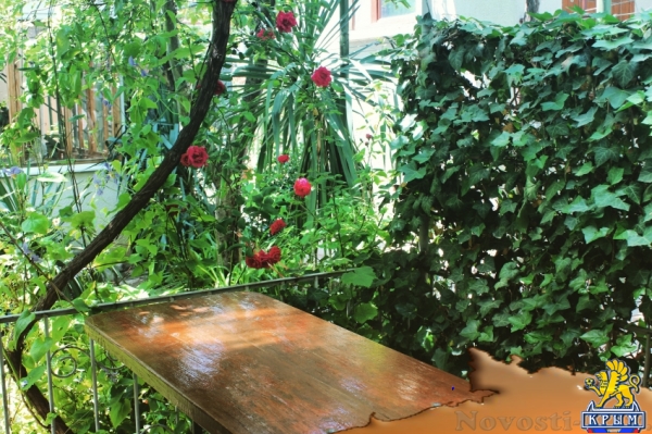 Отдых в Севастополе. Номера в коттедже "Илона" Отдых в Крыму 2017 - жильё в Крыму без посредников - «Отдых в Севастополе»