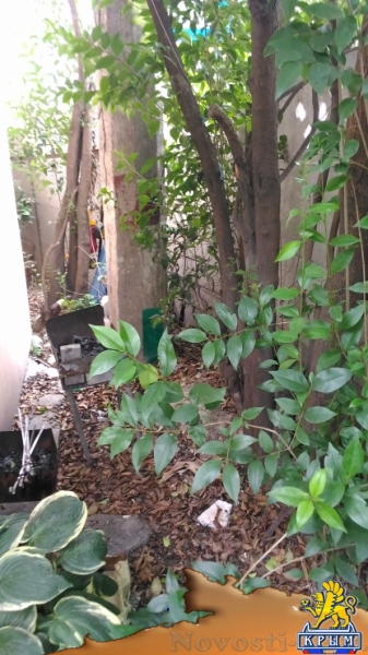 Отдых в Алуште. Двухкомнатный домик на берегу Отдых в Крыму 2017 - жильё в Крыму без посредников - «Отдых в Алуште»