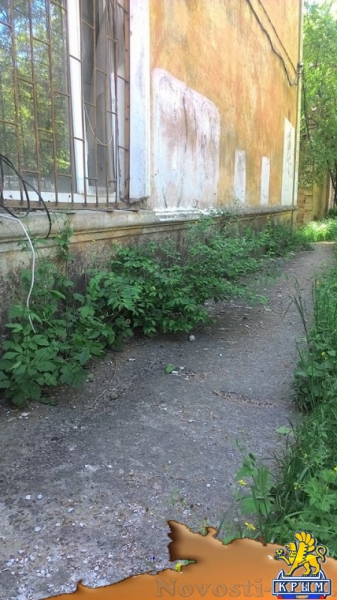 В Аршинцево не нашлось ни одного ухоженного двора - «Керчь»