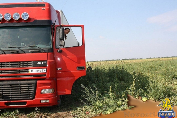 Крымская дальнобойщица показала филигранную езду задним ходом на 40-тонной фуре - «Общество»