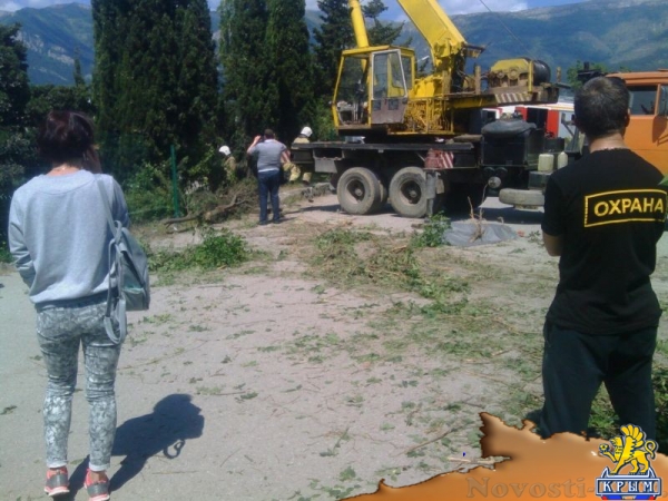 Стали известны подробности смертельного ДТП под Ялтой - «Происшествия»