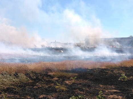 Крымские пожарные продолжают ежедневную борьбу с пожарами и возгораниями - «МЧС» Крымские пожарные продолжают ежедневную борьбу с пожарами и возгораниями - «МЧС»