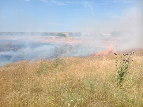 Крымские пожарные продолжают ежедневную борьбу с пожарами и возгораниями - «МЧС» Крымские пожарные продолжают ежедневную борьбу с пожарами и возгораниями - «МЧС»