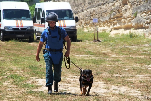 Пиротехники Центра «Лидер» проводят разминирование Крепости Керчь - «МЧС»