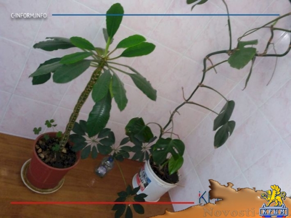 Туалеты горсовета Симферополя отремонтируют за 5,8 млн рублей (ФОТО) - «Спорт Крыма»