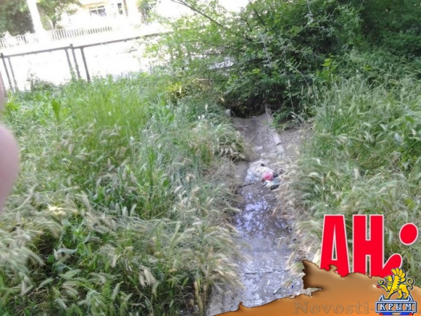 В Керчи «восстановили» забор и убрали мусор лишь на бумаге - «Керчь» В Керчи «восстановили» забор и убрали мусор лишь на бумаге - «Керчь»