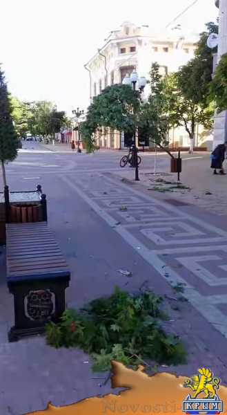 Во что превратился центр Симферополя после Дня города - «Общество»