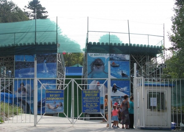 Ялтинский коммерсант незаконно занял участок более 2500 кв. м, разместив там дельфинарий — Александр Спиридонов - «Госкомрегистр»