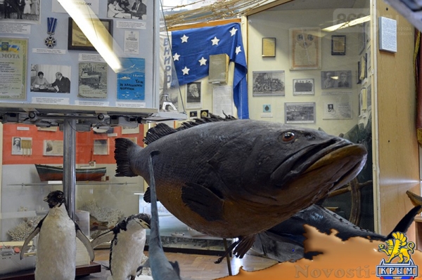 Музей истории развития рыбной промышленности празднует юбилей  - «Культура»