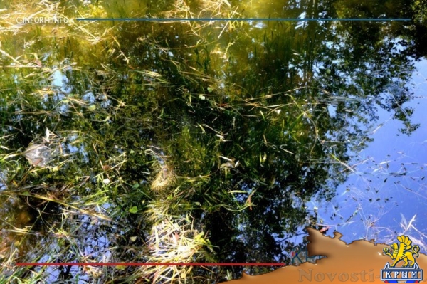 Озеро в симферопольском парке Гагарина почистят специально изготовленным устройством - «Новости Крыма»