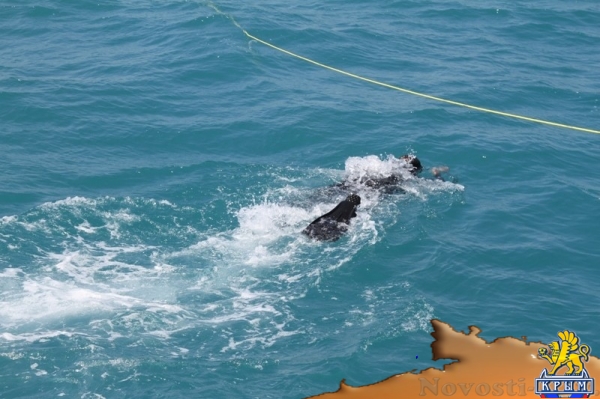 Уничтожение донной мины у берегов Севастополя стало одной из сложнейших операций МЧС (ФОТО, ВИДЕО) - «Туризм Крыма»