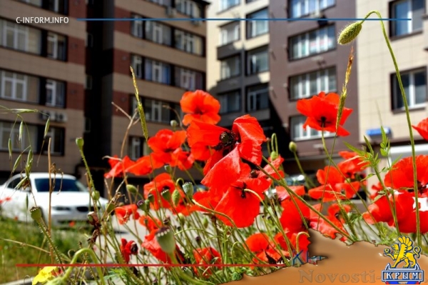 Севастополь прирастает «Троицким» (ФОТО, ВИДЕО) - «70 лет Победы» Севастополь прирастает «Троицким» (ФОТО, ВИДЕО) - «70 лет Победы»