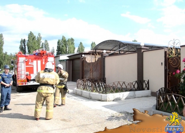 МЧС отчиталось о спасении краснокнижного желтопузика во дворе частного дома (ФОТО) - «Общество Крыма»