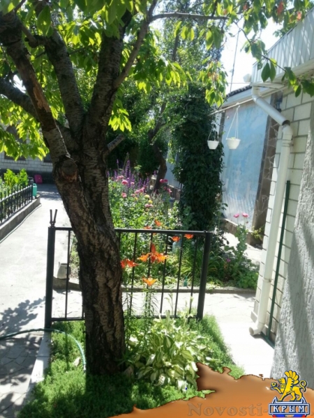 Отдых в Феодосии. Сдаю дом в Феодосии Отдых в Крыму 2017 - жильё в Крыму без посредников - «Отдых в Феодосии»