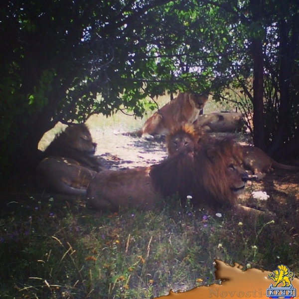 «Ушел думать»: Как скандальный бизнесмен Зубков сходил в ОП - «70 лет Победы» «Ушел думать»: Как скандальный бизнесмен Зубков сходил в ОП - «70 лет Победы»