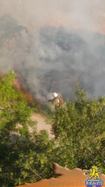В Керчи выгорела сухая трава - «Керчь» В Керчи выгорела сухая трава - «Керчь»