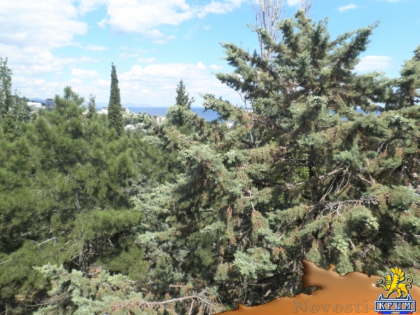 Отдых в Алуште. Хорошая однушка для парочки Отдых в Крыму 2017 - жильё в Крыму без посредников - «Отдых в Алуште»