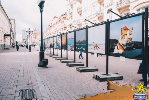 В Москве открылась выставка про Керченский мост - «Керчь» В Москве открылась выставка про Керченский мост - «Керчь»