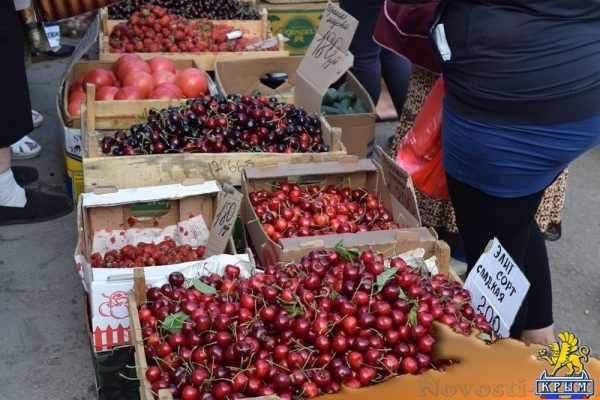 Стихийщики заняли предоставленные властями Симферополя 50 мест на Центральном рынке (ФОТО) - «Культура Крыма»