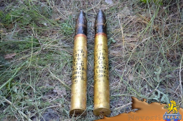 На месте будущего парка «Патриот» в Севастополе нашли более 60 боеприпасов (ФОТО)  - «Происшествия»