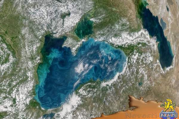 Ученые заметили, что Черное море изменило цвет (ФОТО)  - «Происшествия» Ученые заметили, что Черное море изменило цвет (ФОТО)  - «Происшествия»