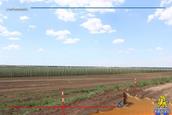 Минсельхоз России изучит планы по увеличению площади орошаемых земель в Крыму (ФОТО) - «Политика Крыма»
