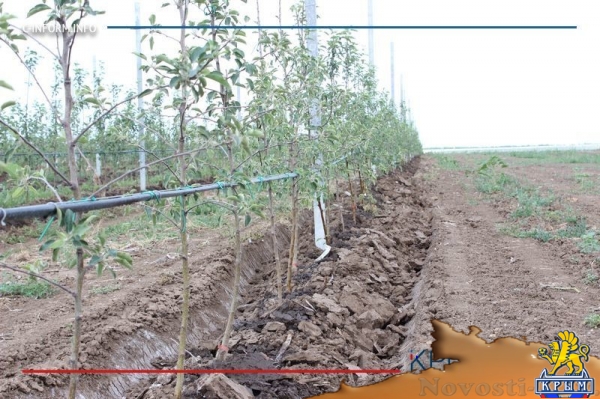 Минсельхоз России изучит планы по увеличению площади орошаемых земель в Крыму (ФОТО) - «Политика Крыма»