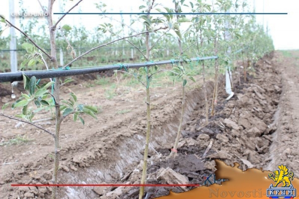 Минсельхоз России изучит планы по увеличению площади орошаемых земель в Крыму (ФОТО) - «Политика Крыма»